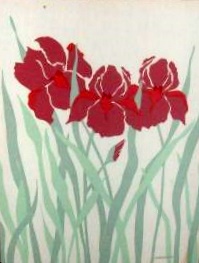Marushka - iris-like flowers (red)