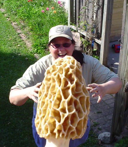 our first morel