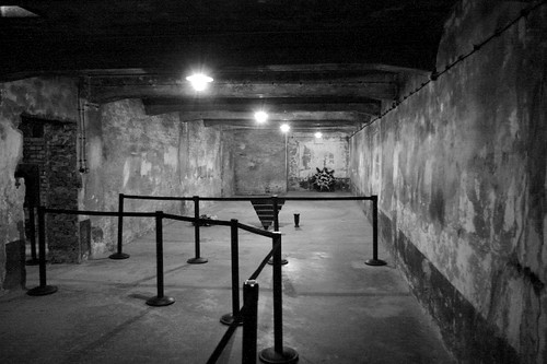 gas chambers from the holocaust. Gas Chamber