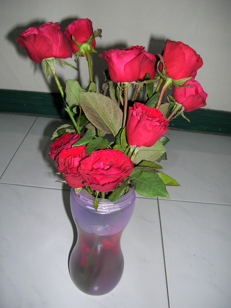 Roses from Bali
