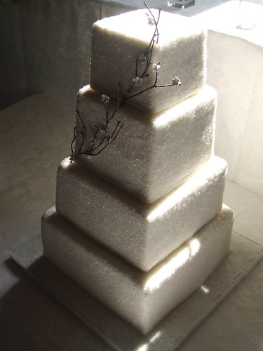 Wonderfully wintery cake by The wedding cake shoppe Winter wonderland