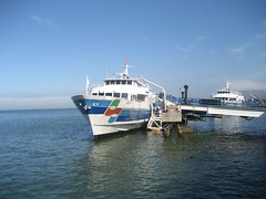 SF Ferry