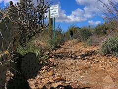 Tucson Mountain Park Trailhead