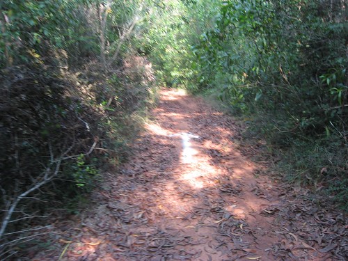 Auroville Marathon running track