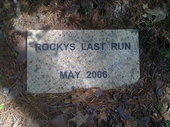  Rockys Last Run