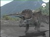24 Triceratops run as T rex Gang annoys them-28911
