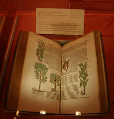 botanical book