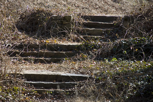 Old Campbell Mill Steps