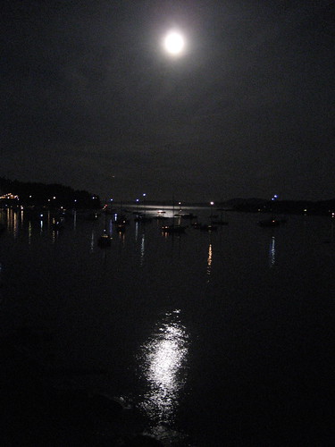 The bay (at night)
