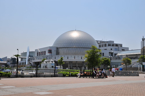 DSC_10423_名古屋港水族館