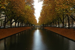 Autumn-Avenue