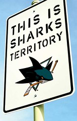 sharks territory