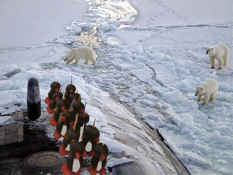 Pingüinos a la carrera