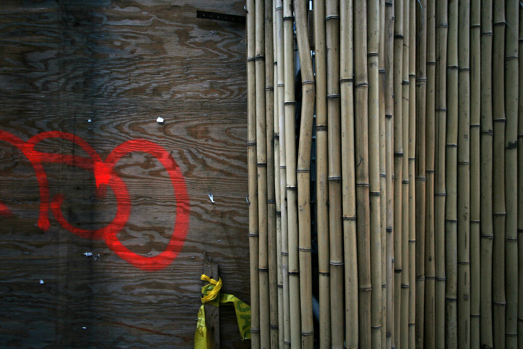 Shutter Building's plywood is bamboo