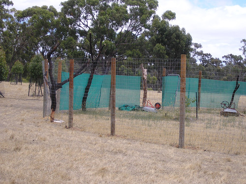 orchard fence closeup.jpg