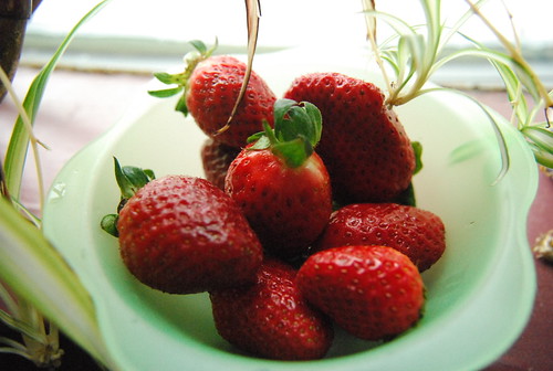 Creepy strawberries