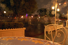 Disneyland December II (34)