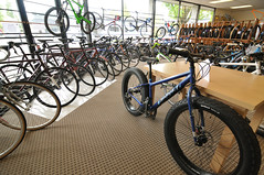 Universal Cycles new location-4-4