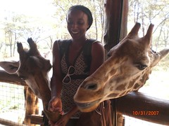 Feeding two giraffes 2