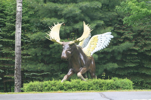 The Great Flying Moose