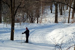 Cross country skier