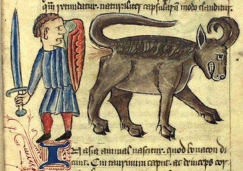 Kongelige Bibliotek, Gl. kgl. S. 1633 4º-Bonacon-bestia parecida a un toro usando su estiercol como arma