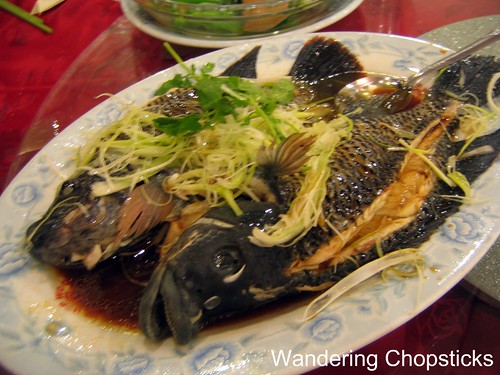 Chinese Rock Cod