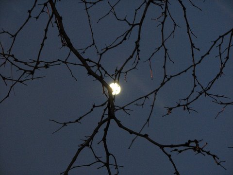 moon rising in St Louis 200108