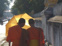 monk boys text messaging in luang prabang, laos by brunswickfi