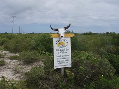 Cow Wreck Sign