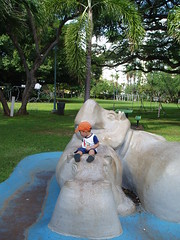 Riding a hippo