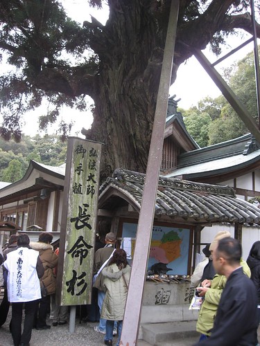 Ohenro(in Gokurakuji Temple,Shikoku,Japan)