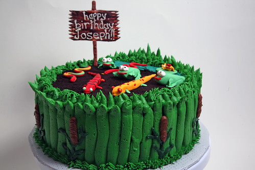 joseph's cake. Originally uploaded by the schneider clan