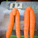 Mr and Mrs Carrot. We didn't grow these ones unfortunately