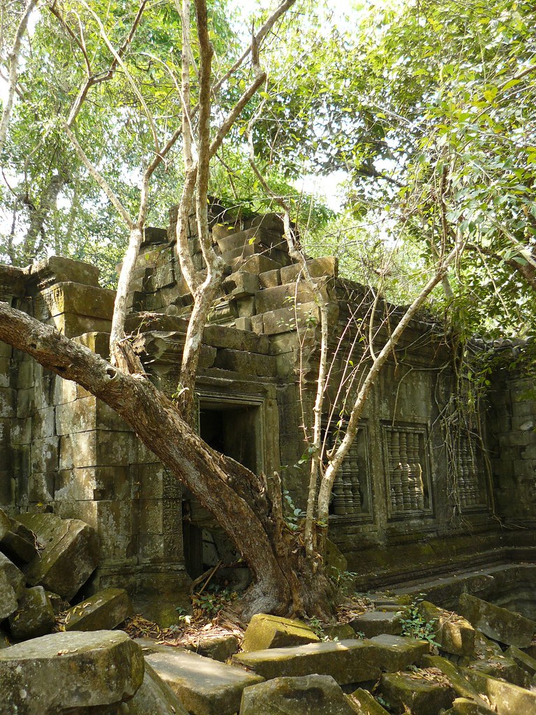 Cambodge - Angkor #212