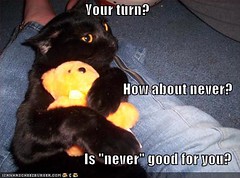 funny-pictures-cat-hugs-teddy-bear-jealously