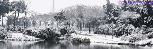 中國蘇州昆山的亭林公園