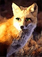 Foxwoman illustration