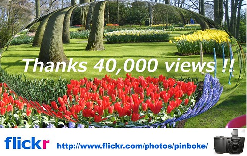 Thanks 40,000views!!