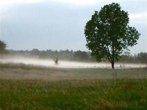 The Mist of Fish Creek