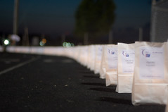 Relay for Life, 2008