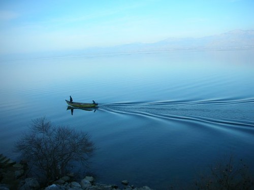Lake of Shkodra by rozafa2010