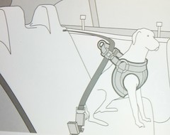 [説明図]犬用シートベルト