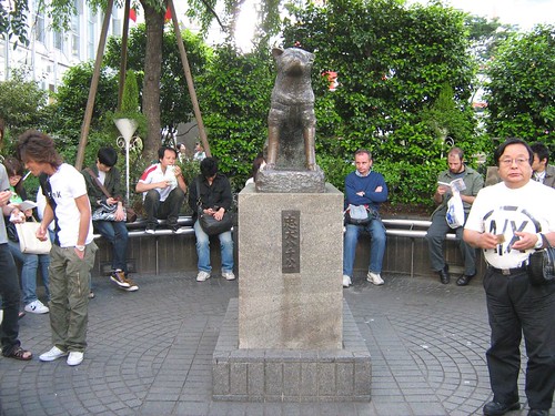 Hachiko Bronze Statue 2