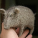 old needle felted boar