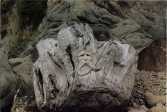 Old Man of the Beach, 1 1996