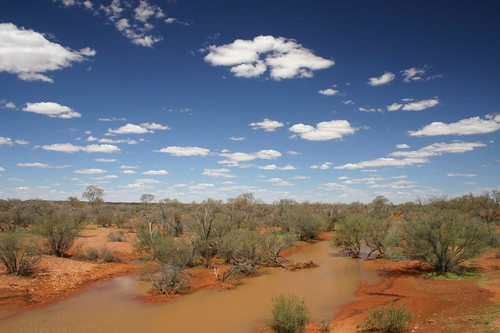 The Australian Outback. November 2007.