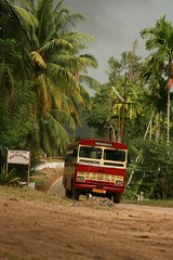 island bus service
