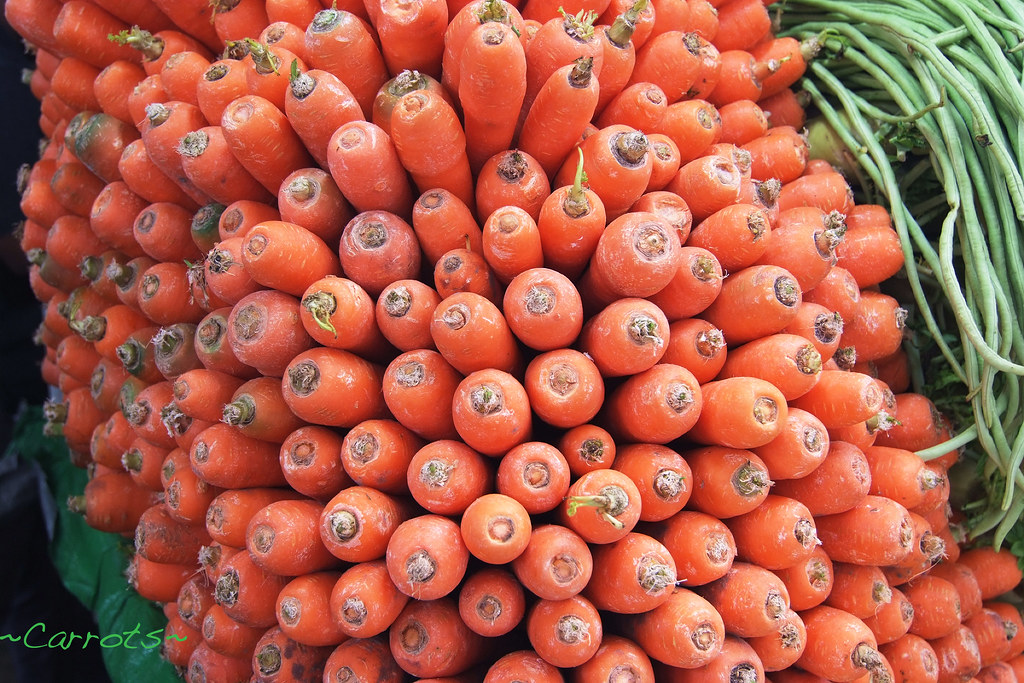 Carrots Galore