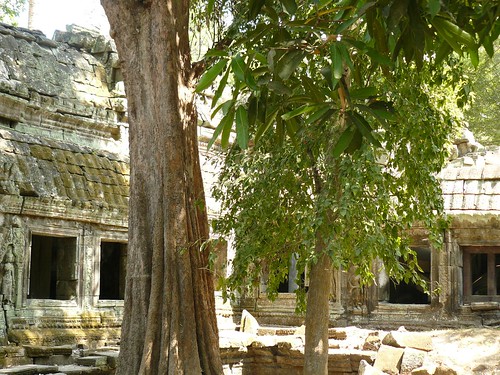 Cambodge - Angkor #88